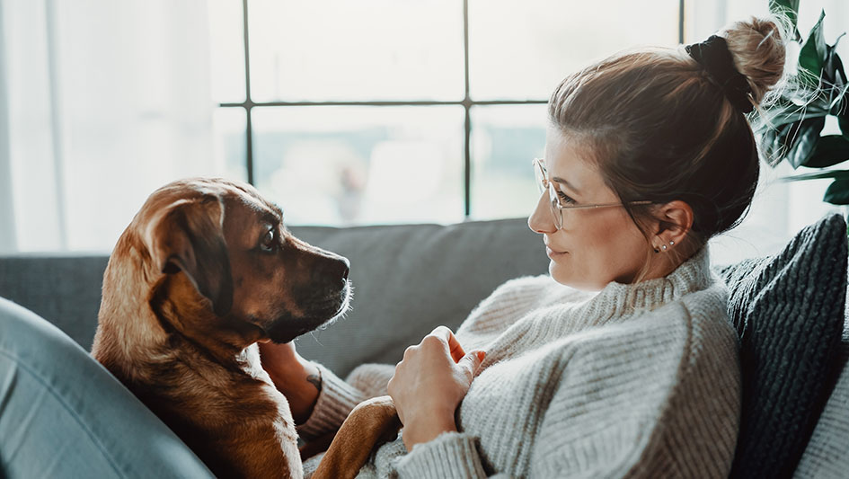 Are Air Purification Systems Worth the Cost?