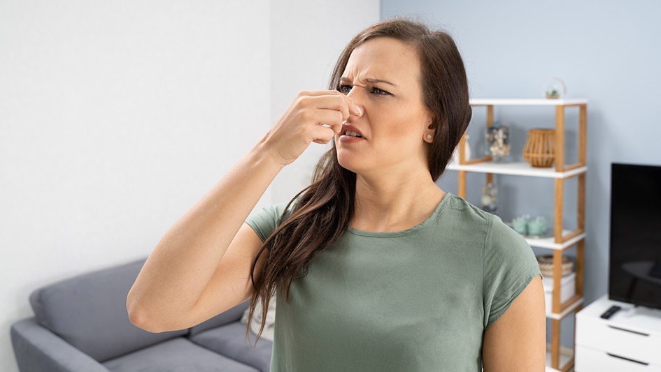 Six Common Air Conditioner Smells Decoded and How to Fix the Problem